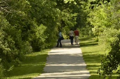 People walking on trail through the woods