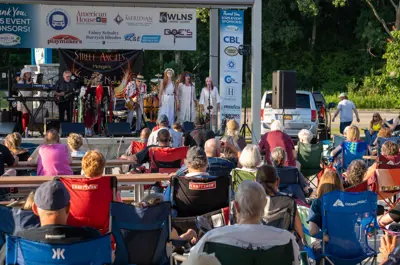 Crowd of people watching a band perform on stage.
