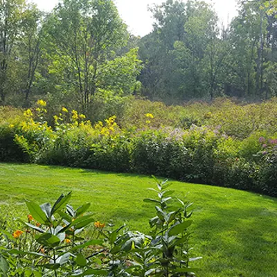 Wetland Buffer Image Rotate Size