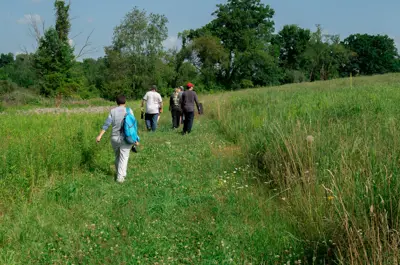 Meridian Conservation Corps volunteers walking in Davis Foster Preserve during the summer